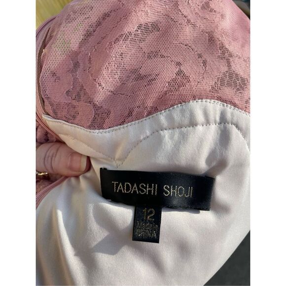 Tadashi Shoji blush Evening Dress Gown Cocktail Wedding Lace Lined Pink Size 12 - Picture 13 of 14